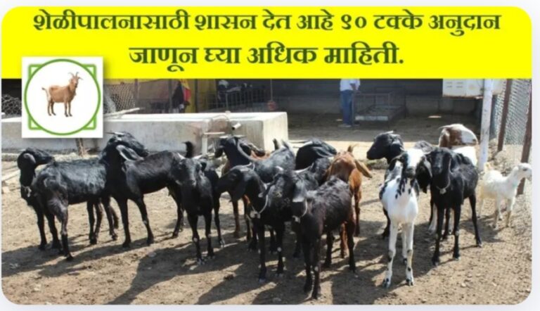 Ahilya Sheli Yojana 2024