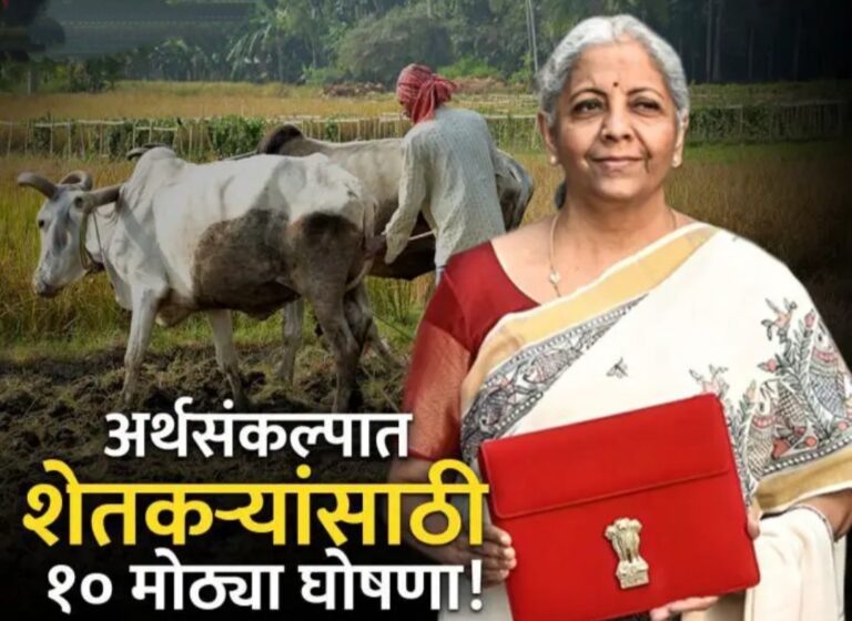 Agriculture Subsidies Budget 2025